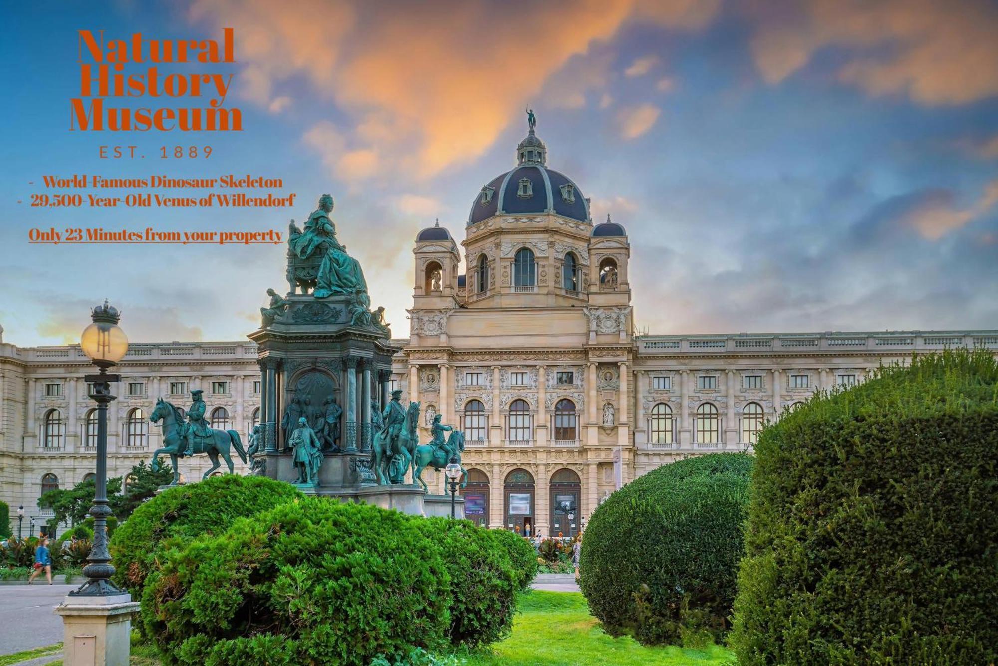 Apartamento Amazing 1br Perfect For Long Viena